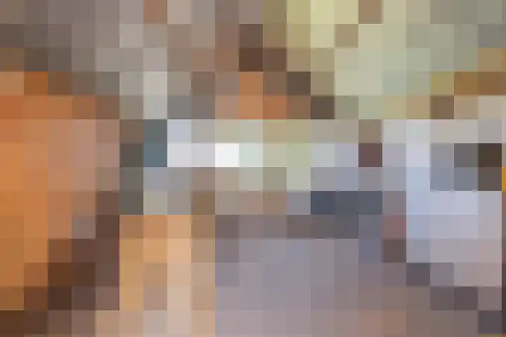 Kerkstraat 93 Drempt thumbnail 53