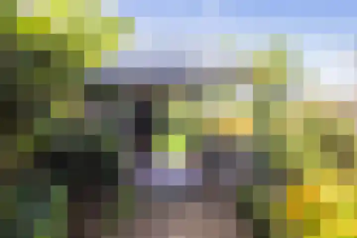 Kerkstraat 93 Drempt thumbnail 62