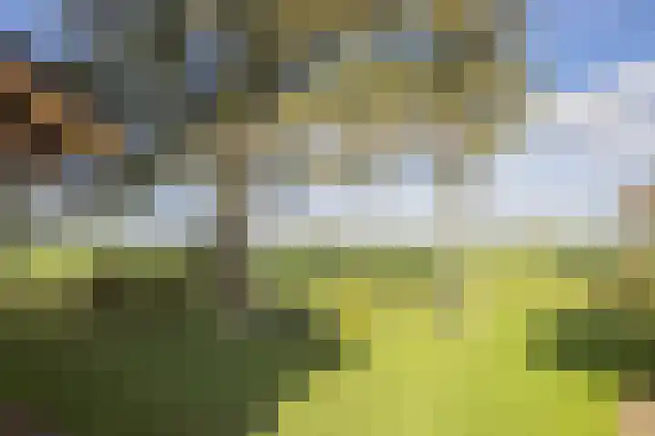 Kerkstraat 93 Drempt thumbnail 69