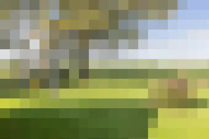 Kerkstraat 93 Drempt thumbnail 70