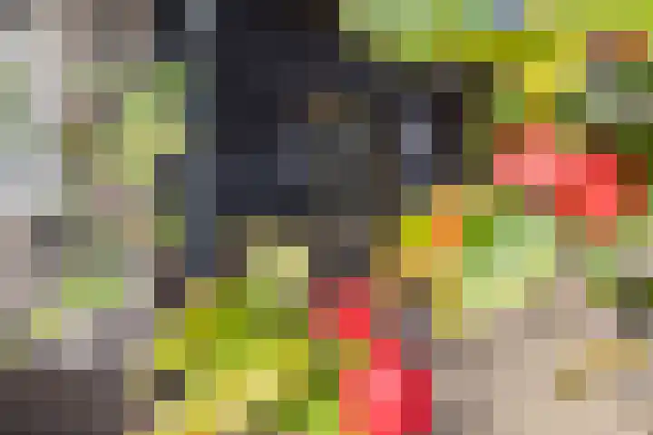 Kerkstraat 93 Drempt thumbnail 75