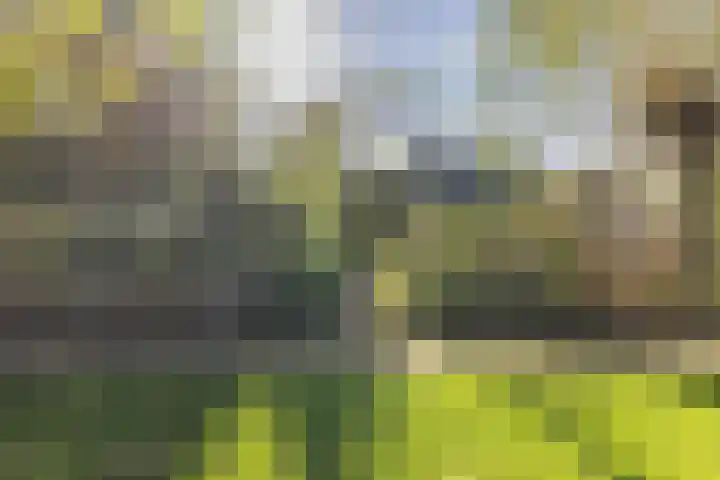 Kerkstraat 93 Drempt thumbnail 76