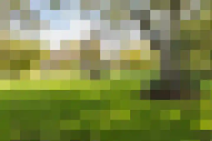 Kerkstraat 93 Drempt thumbnail 79