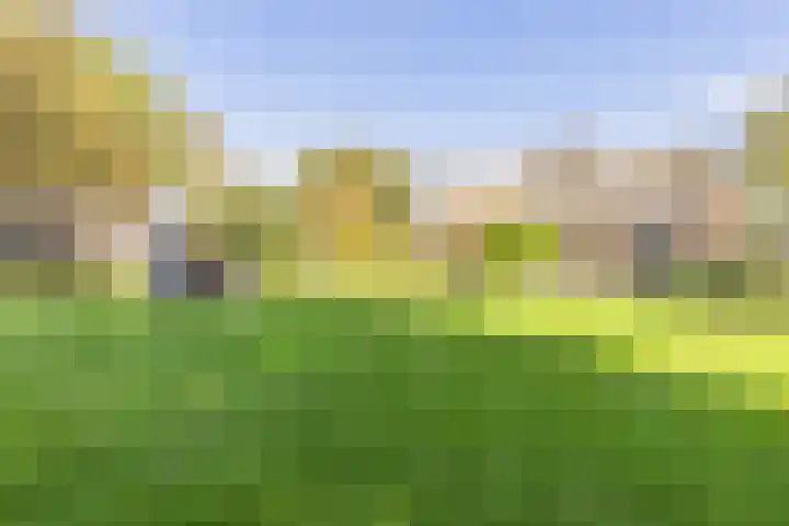 Kerkstraat 93 Drempt thumbnail 82