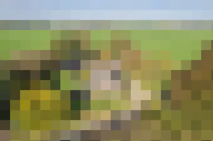 Kerkstraat 93 Drempt thumbnail 88