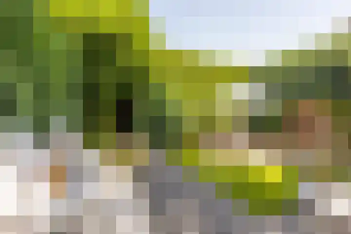 Kerkstraat 93 Voerendaal thumbnail 4