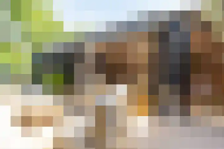 Kerkstraat 93 Voerendaal thumbnail 5