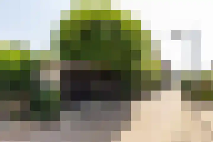 Kerkstraat 93 Voerendaal thumbnail 7