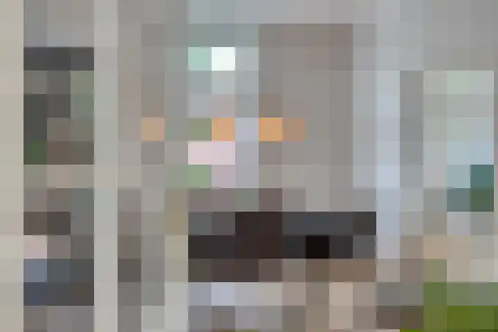 Kerkstraat 93 Weert thumbnail 8