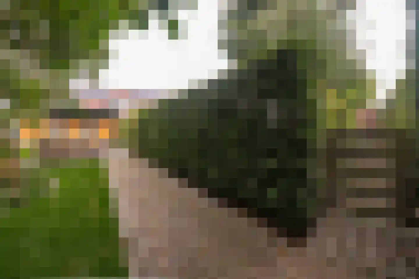 Kerkstraat 94 A Voerendaal thumbnail 29