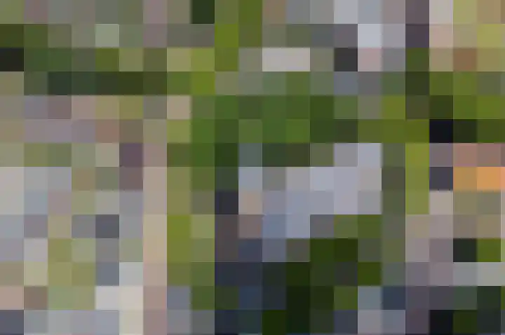 Kerkstraat 94 Bodegraven thumbnail 33