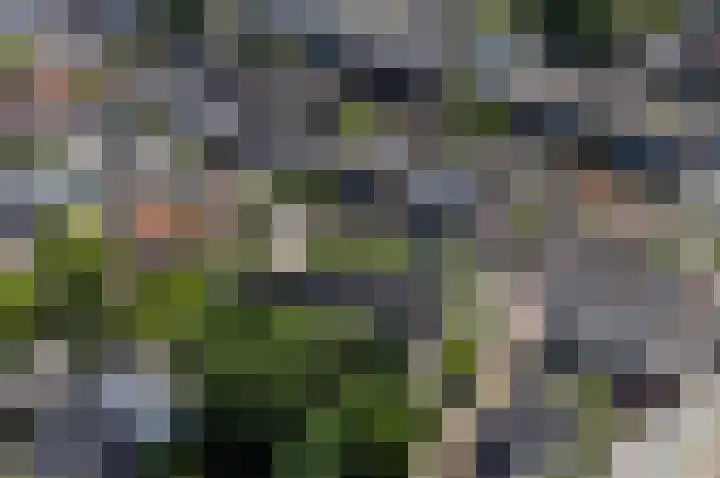 Kerkstraat 94 Bodegraven thumbnail 36