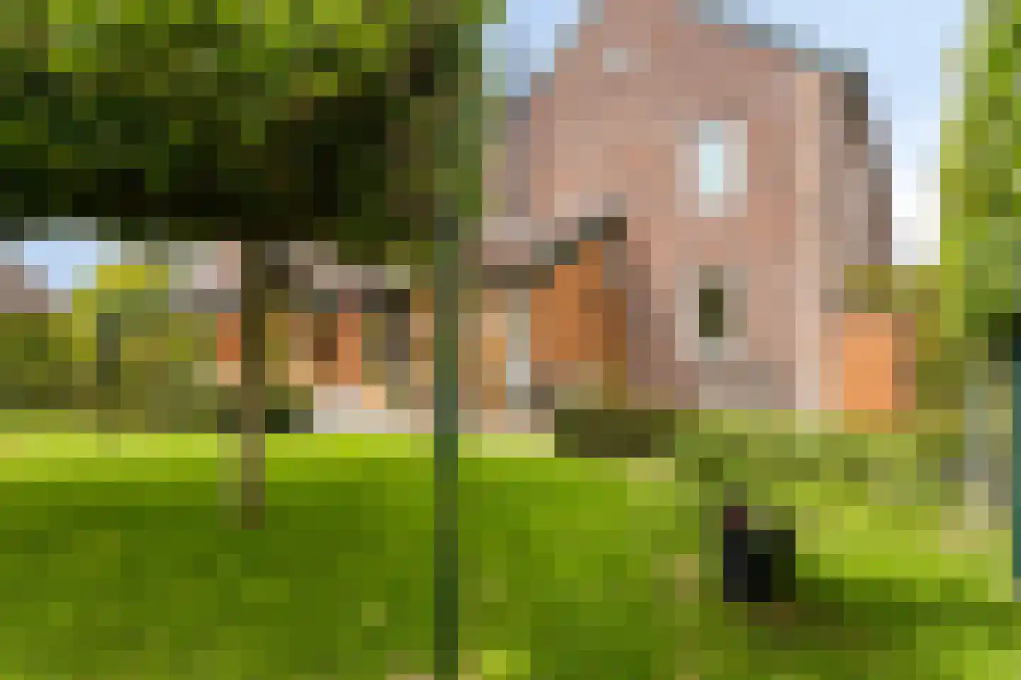 Kerkstraat 94 D Voerendaal thumbnail 35