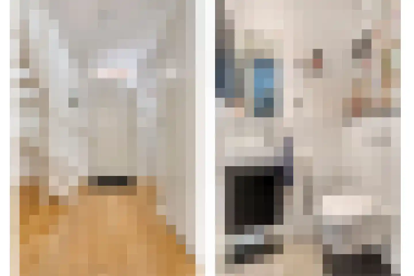 Kerkstraat 94 D Voerendaal thumbnail 6