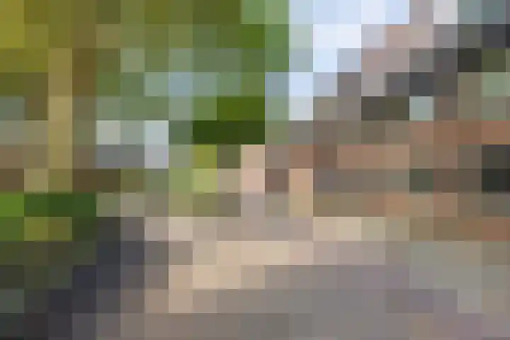 Kerkstraat 95 Beverwijk thumbnail 36