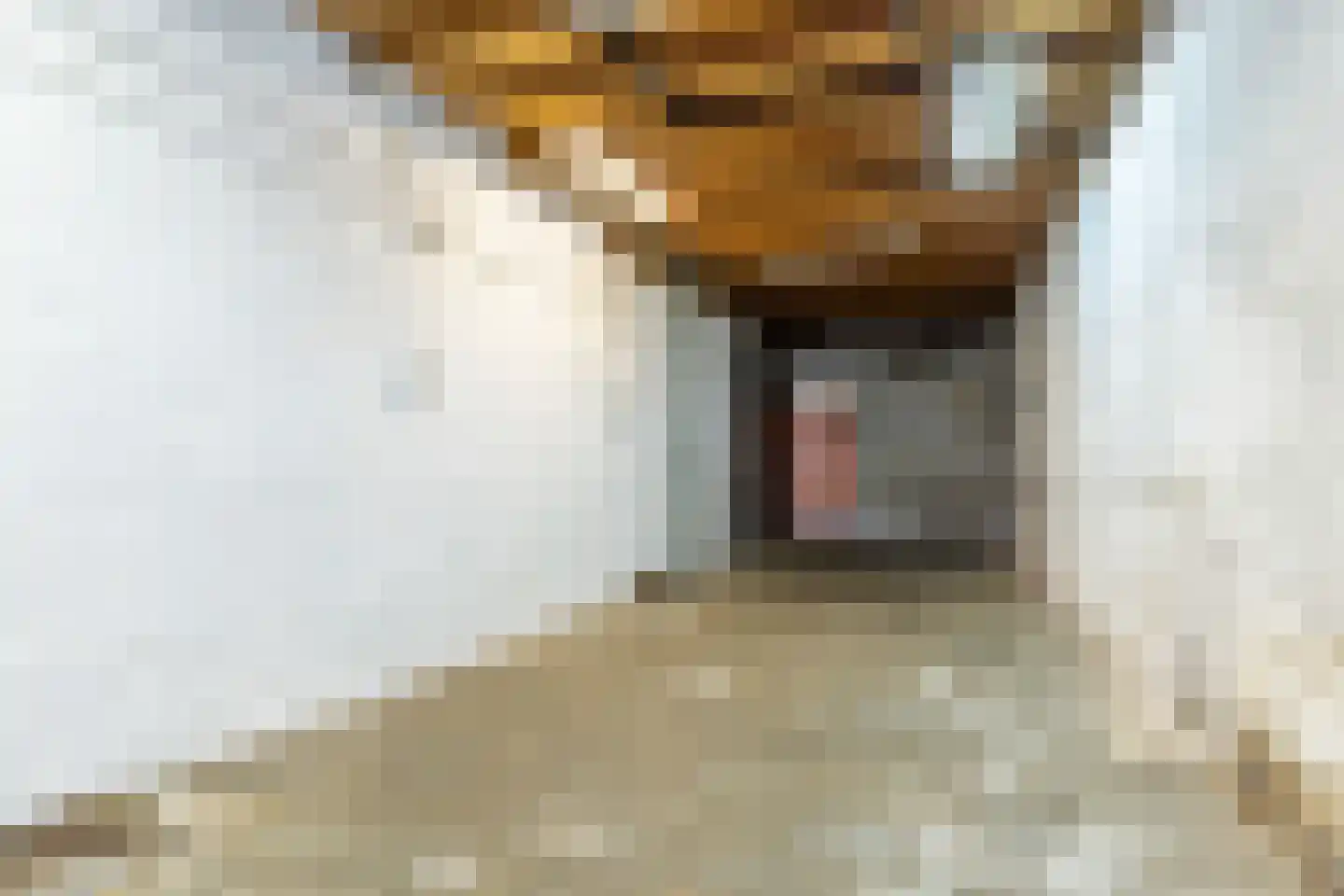 Kerkstraat 96 Doenrade thumbnail 31