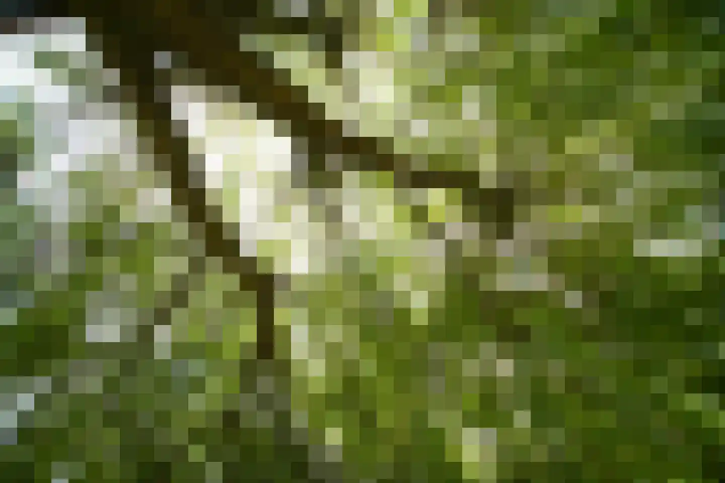 Kerkstraat 96 Wognum thumbnail 10