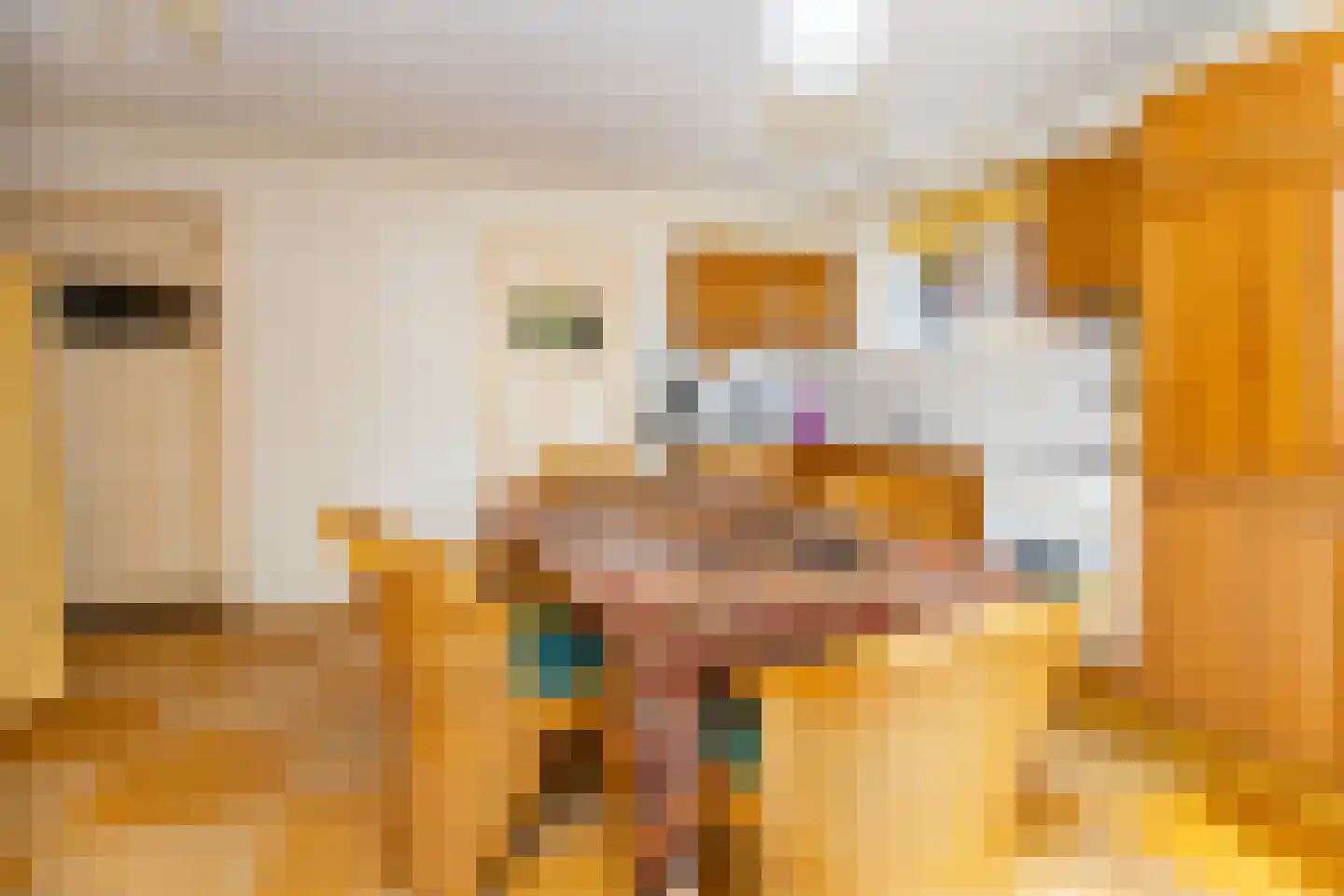 Kerkstraat 96 Wognum thumbnail 23