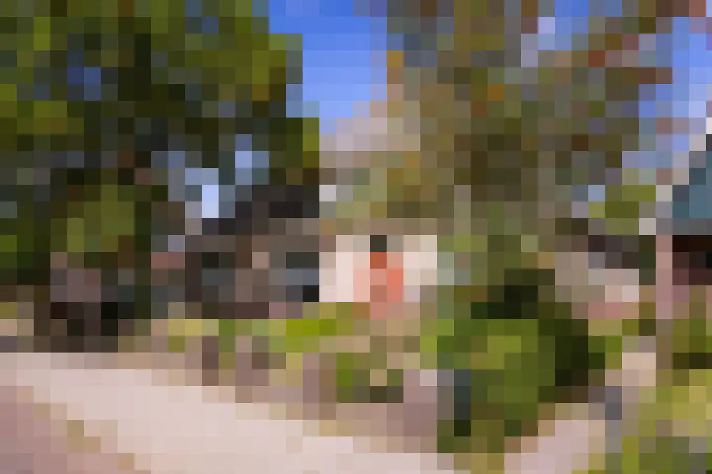 Kerkstraat 96 Wognum thumbnail 5