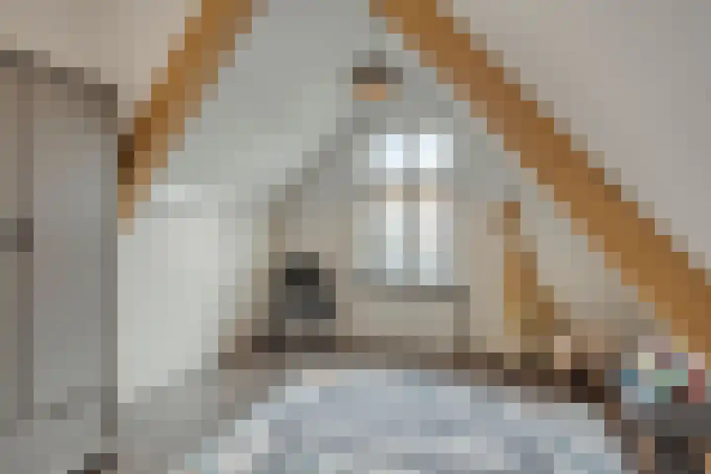 Kerkstraat 98 Oud-Beijerland thumbnail 35