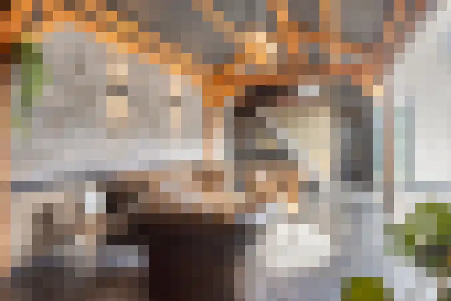 Kerkstraat 98 Oud-Beijerland thumbnail 54