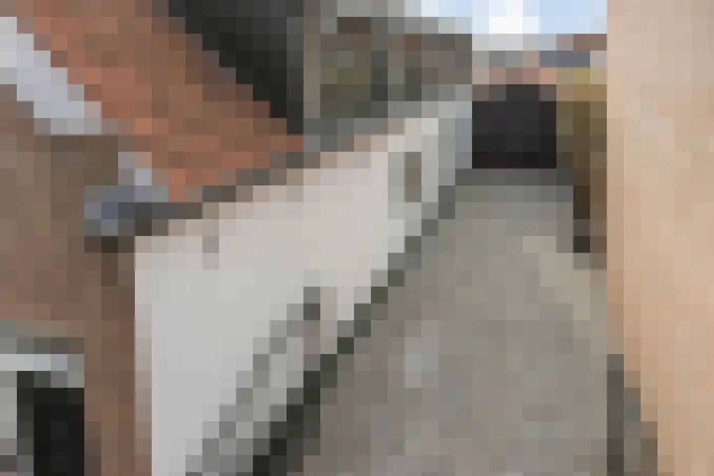 Kerkstraat 98 Oud-Beijerland thumbnail 63