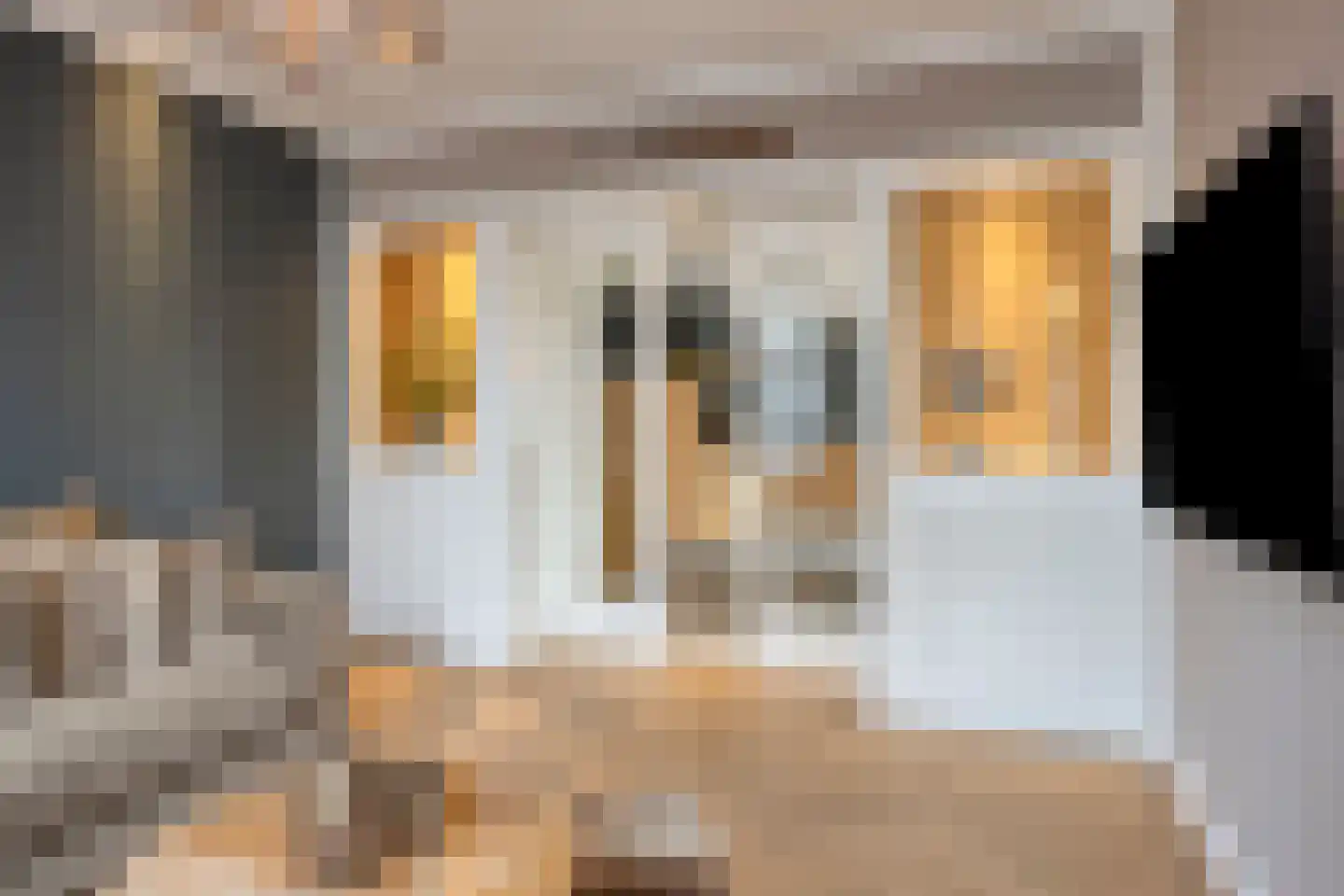 Kerkstraat 98 Oud-Beijerland thumbnail 9