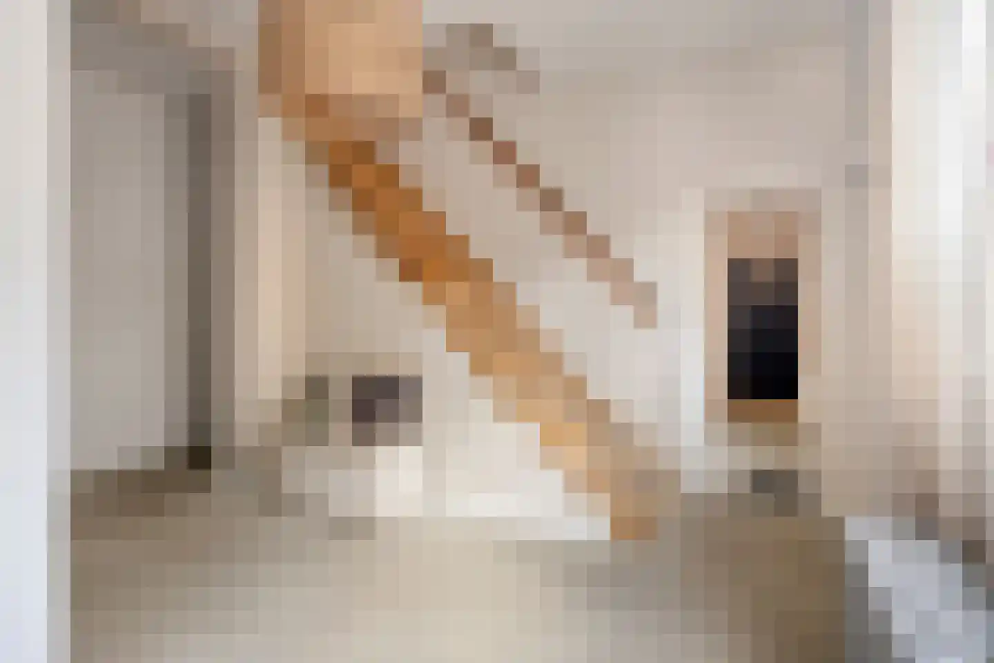 Kerkstraat 98 Sprang-Capelle thumbnail 10