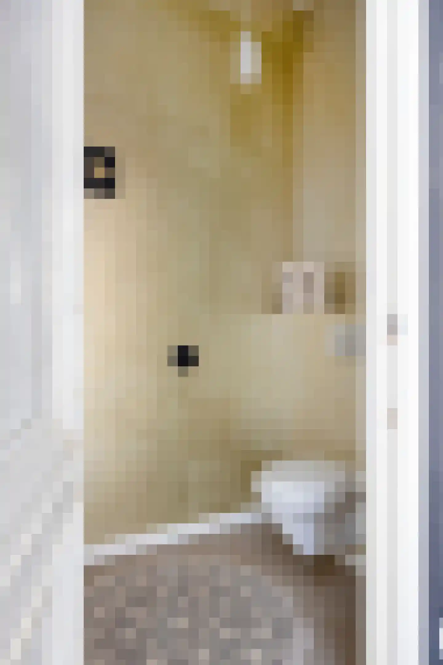 Kerkstraat 98 Sprang-Capelle thumbnail 12