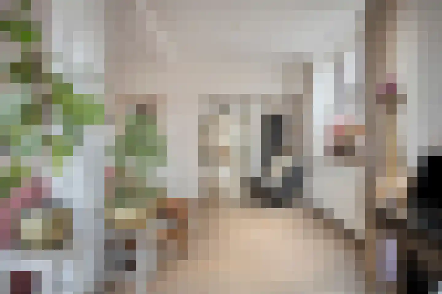Kerkstraat 98 Sprang-Capelle thumbnail 17