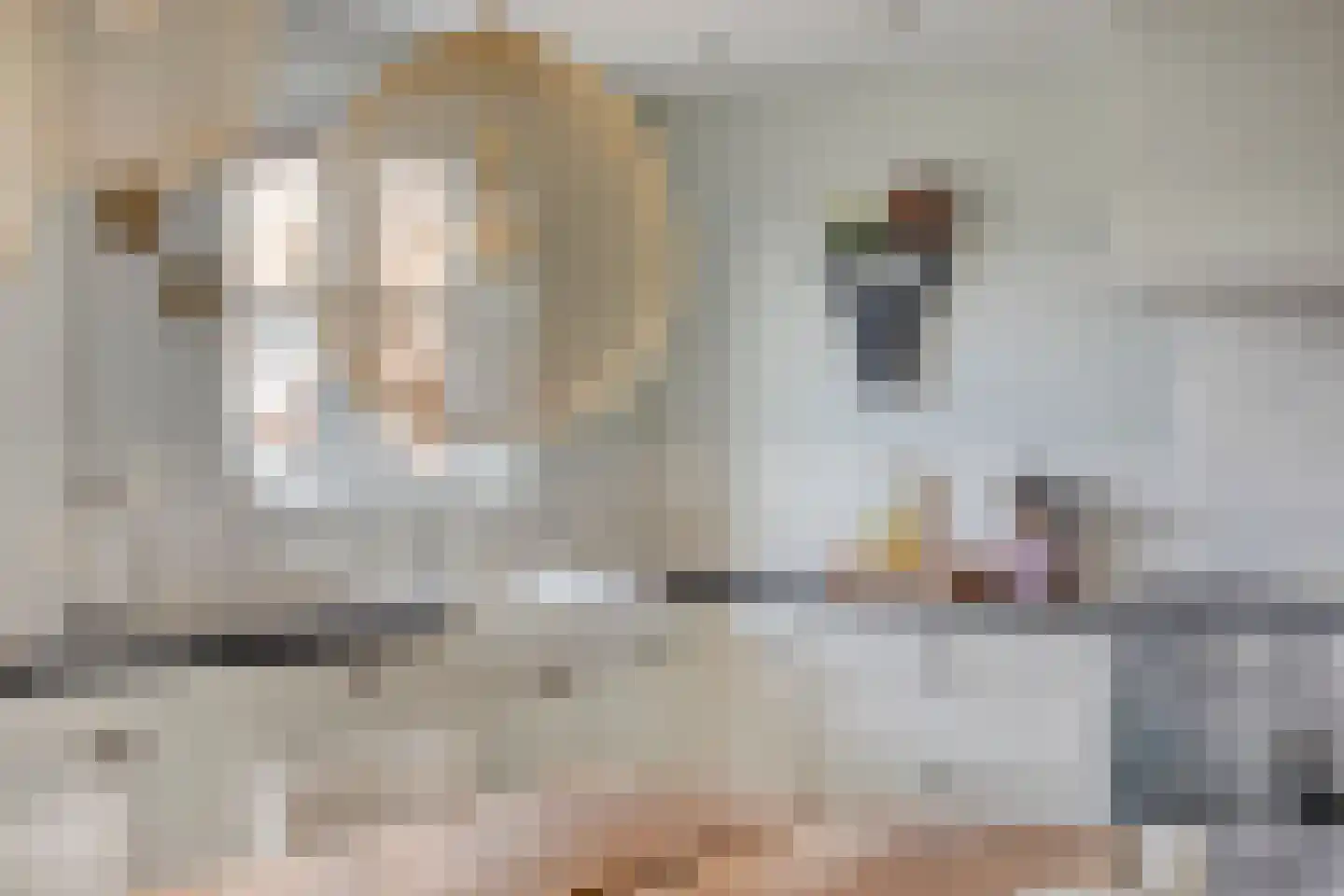 Kerkstraat 98 Sprang-Capelle thumbnail 34