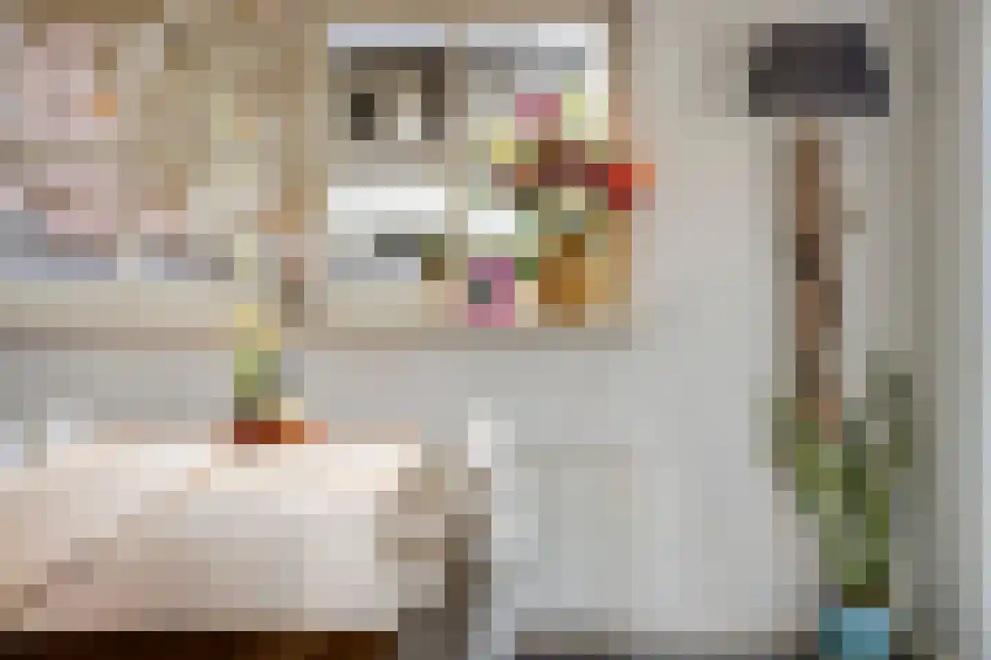 Kerkstraat 98 Sprang-Capelle thumbnail 37