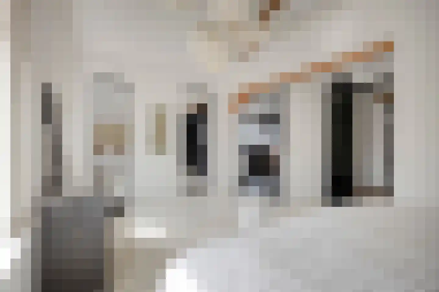 Kerkstraat 98 Sprang-Capelle thumbnail 56