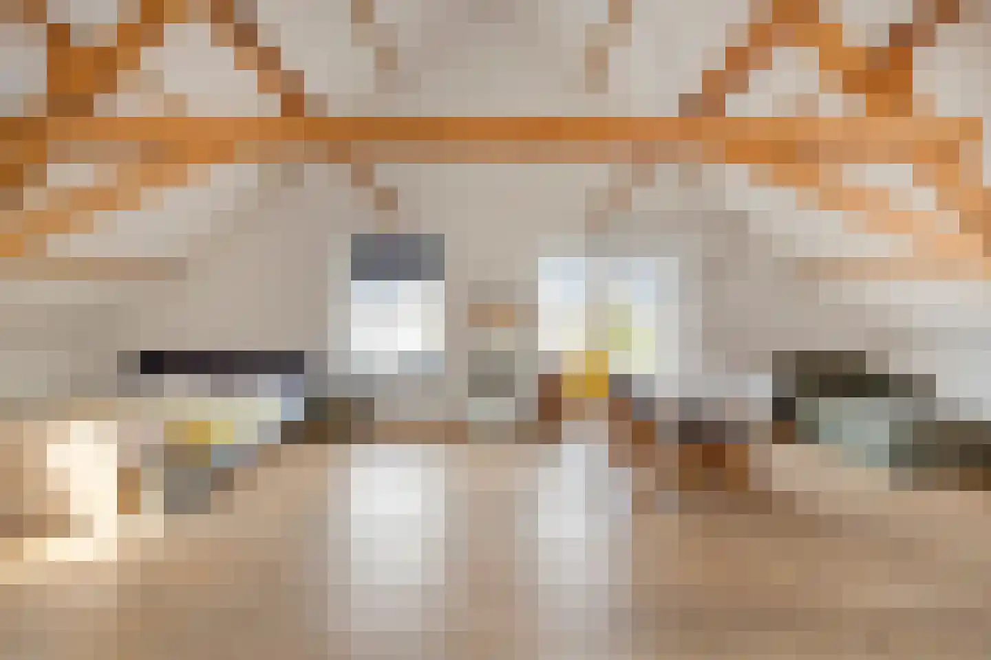 Kerkstraat 98 Sprang-Capelle thumbnail 63