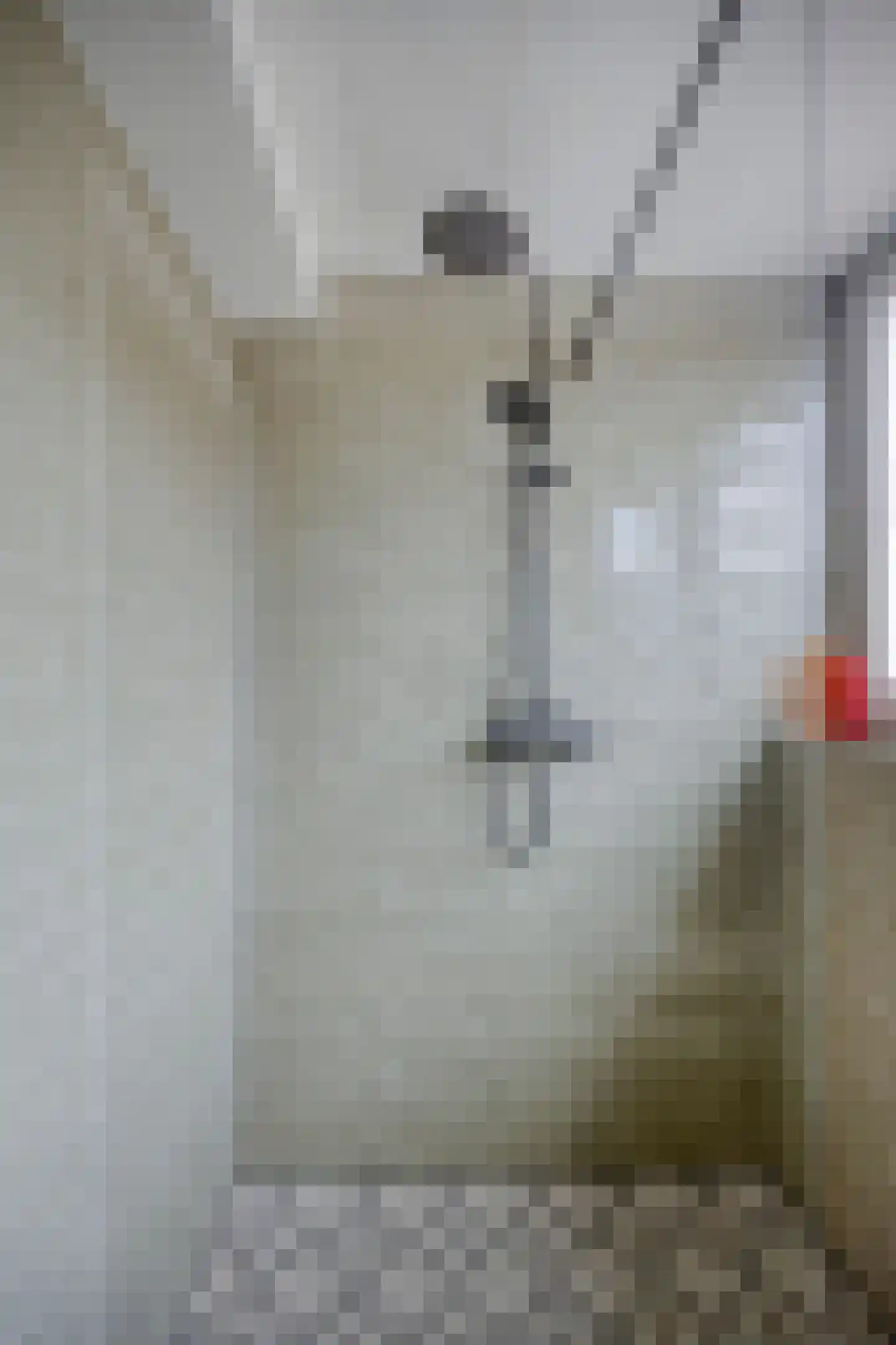 Kerkstraat 98 Sprang-Capelle thumbnail 72