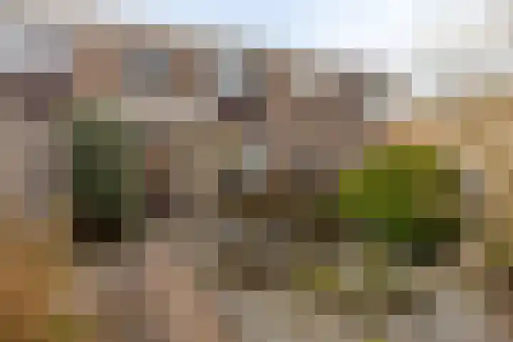 Kerkstraat 98 Wormerveer thumbnail 4