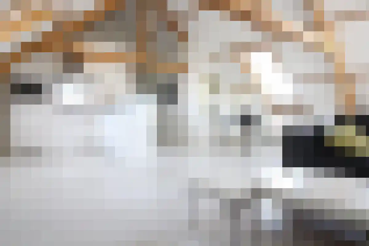 Kerkstraat Eindhoven thumbnail 4