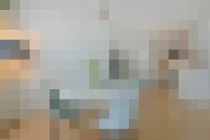Kerkstraatje 5 02 Wijk bij Duurstede thumbnail 4
