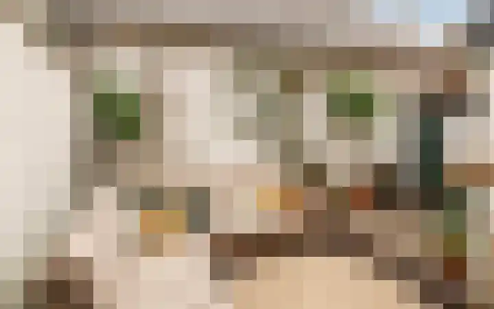 Kerkstraatje 9 a Wijk bij Duurstede thumbnail 14
