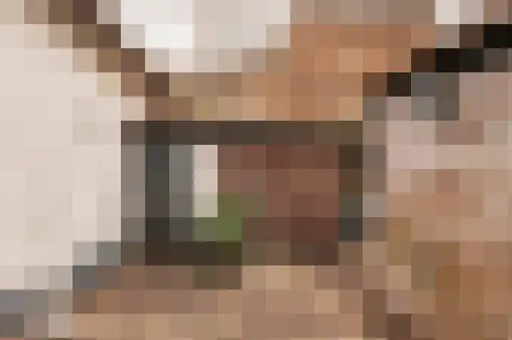Kerkstraatje 9 a Wijk bij Duurstede thumbnail 15