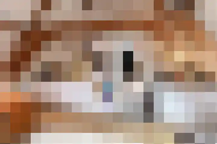 Kerkstraatje 9 a Wijk bij Duurstede thumbnail 6