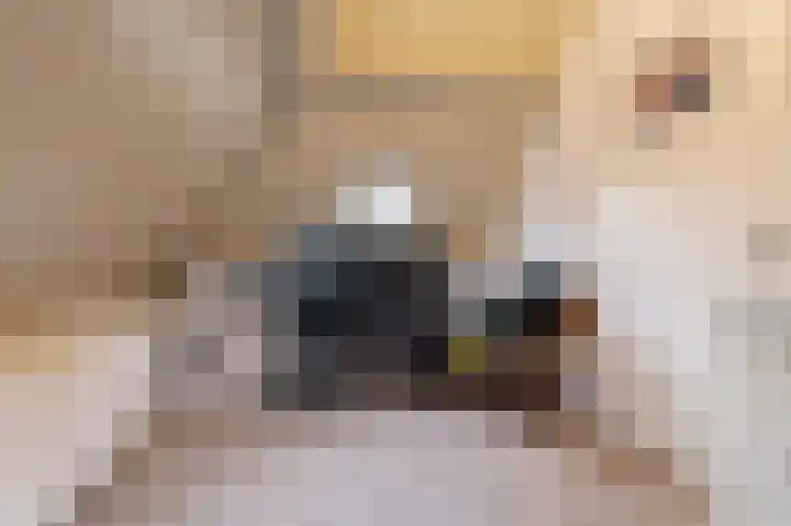 Kerkstraatje 9 a Wijk bij Duurstede thumbnail 9