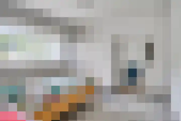Kerktorenstraat 20 Veldhoven thumbnail 16
