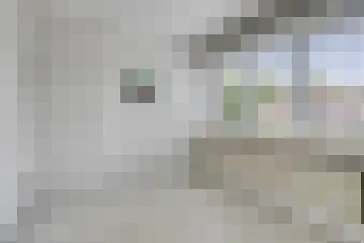 Kerktorenstraat 20 Veldhoven thumbnail 18