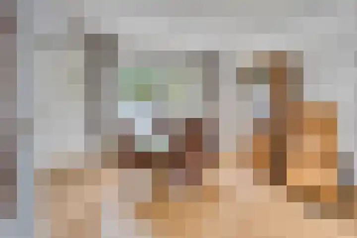 Kerktorenstraat 20 Veldhoven thumbnail 8