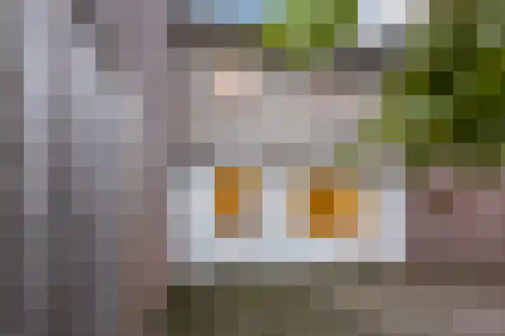 Kerktorenstraat 50 Veldhoven thumbnail 28