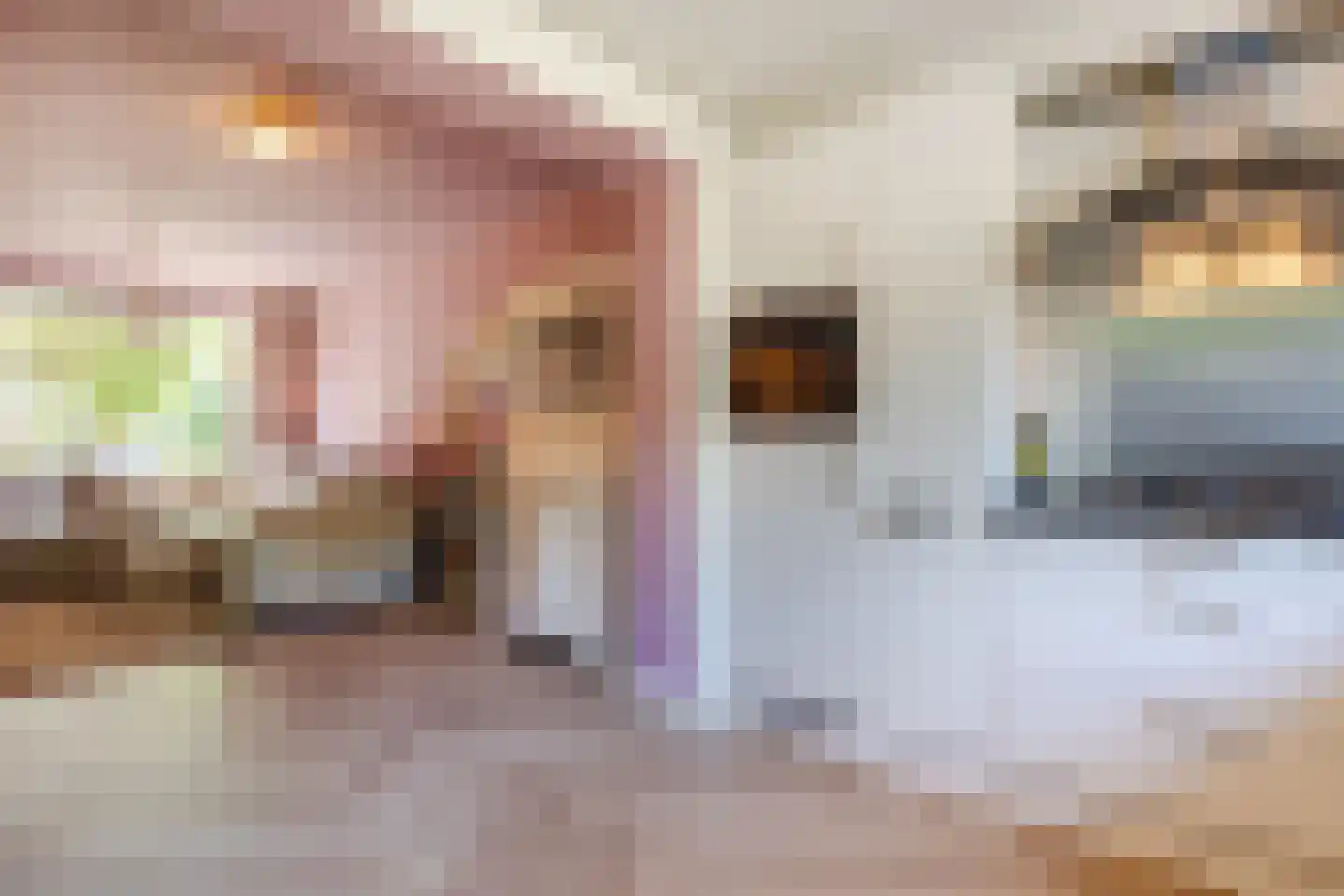 Kerktorenstraat 58 Veldhoven thumbnail 19