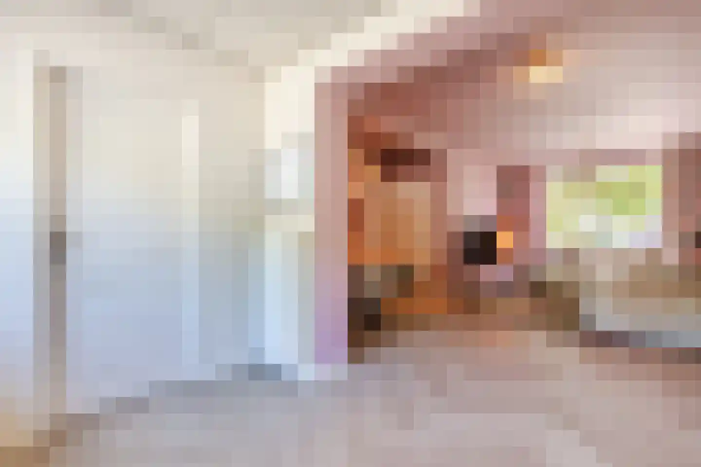 Kerktorenstraat 58 Veldhoven thumbnail 22