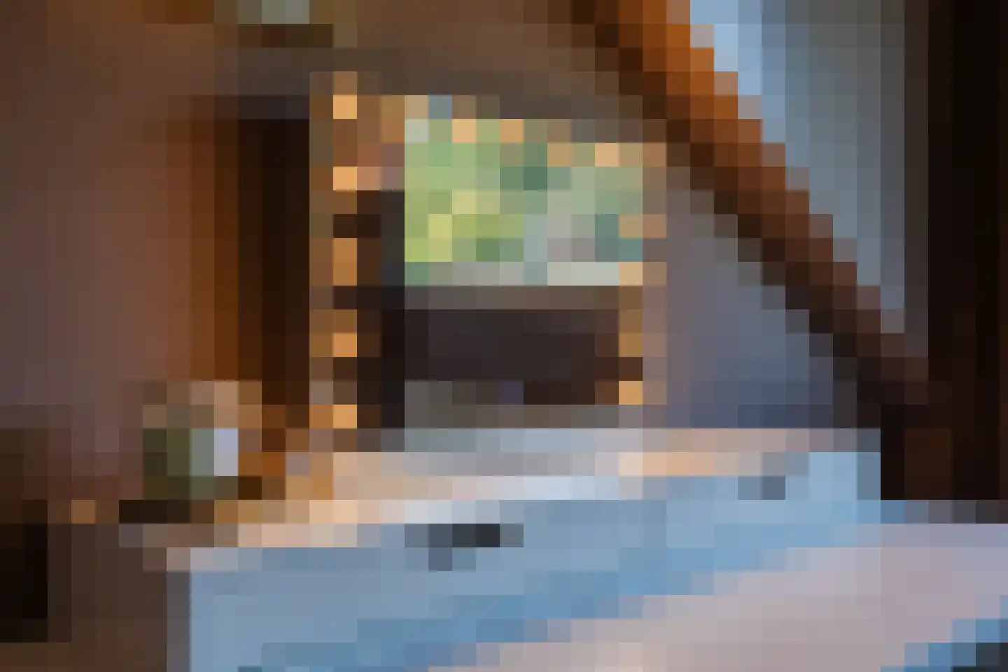 Kerktorenstraat 58 Veldhoven thumbnail 29