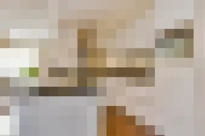 Kerktorenstraat 68 Veldhoven thumbnail 17